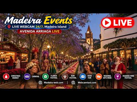 Avenida Arriaga & Port View