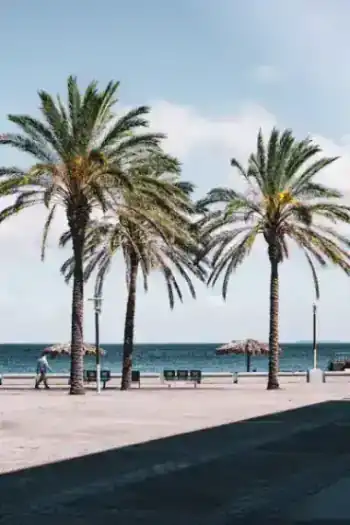 Live Cam: Forum Machico | Beach View thumbnail webcam thumbnail - preview of live camera in Machico, Madeira