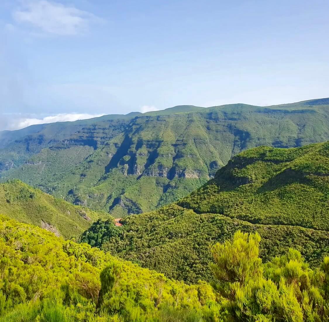 Live Cam: Rabaçal Valley & Hiking Trails | Madeira thumbnail