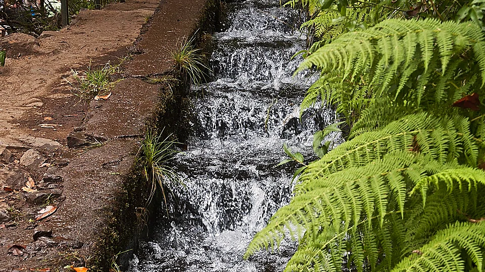 PR13.1 Vereda da Palha Carga, Madeira. Photo: cudi, CC BY 2.0, via Wikimedia Commons.
