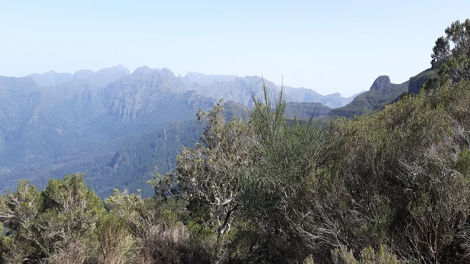PR17 Caminho do Pináculo e Folhadal, Madeira. Photo: Gerda Arendt, CC BY-SA 4.0, via Wikimedia Commons.