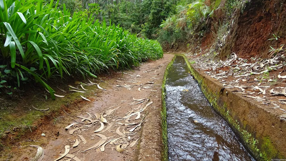 PR18 Levada do Rei, Madeira. Photo: VillageHero, CC BY-SA 2.0, via Wikimedia Commons.