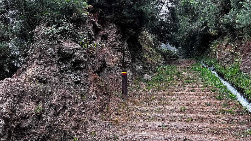 PR3.1 Caminho Real do Monte, Madeira. Photo: Krzysztof Popławski, CC BY 4.0, via Wikimedia Commons.