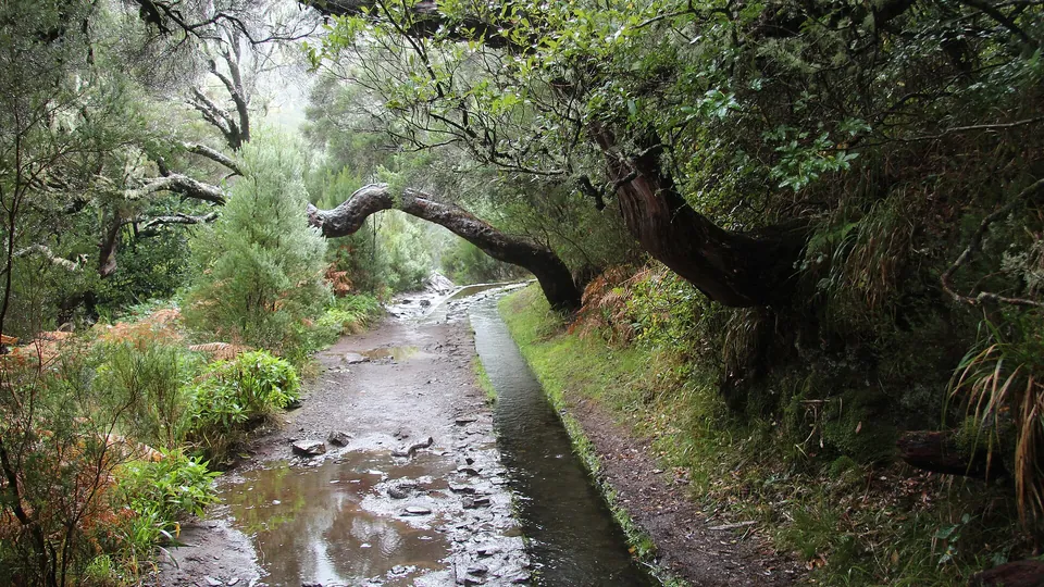 PR6.1 Levada do Risco, Madeira. Photo: GerritR, CC BY-SA 4.0, via Wikimedia Commons.