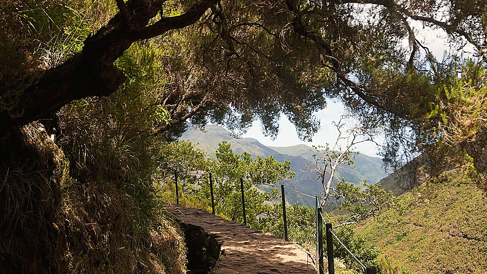 PR6.4 Levada Velha do Rabaçal, Madeira. Photo: cudi, CC BY 2.0, via Wikimedia Commons.