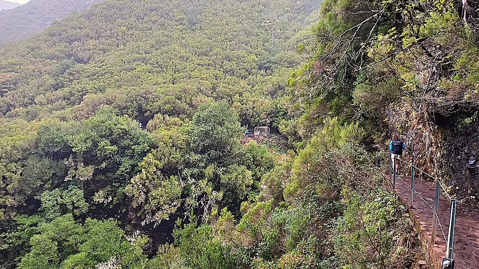 PR6.8 Levada do Paul II – Um Caminho para todos, Madeira. Photo: Asurnipal, CC BY-SA 4.0, via Wikimedia Commons.