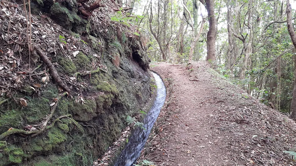 PR7 Levada do Moinho, Madeira. Photo: Gerda Arendt, CC BY-SA 4.0, via Wikimedia Commons.